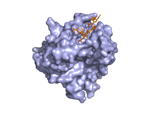 protein image1